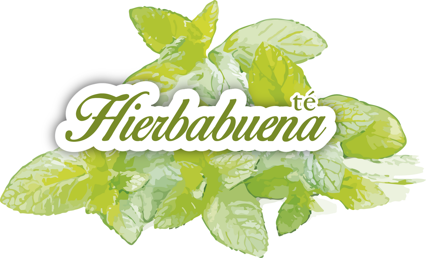 TÉ DE HIERBABUENA