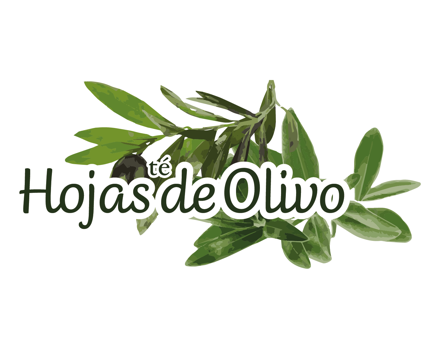 Hojas de Olivo