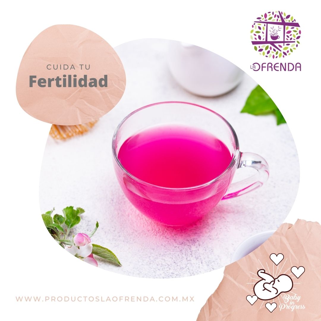 FERTILIDAD
