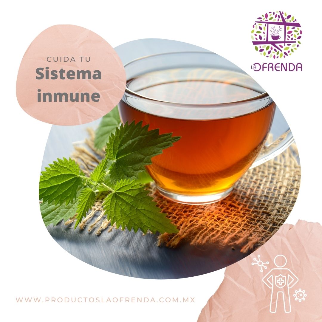 SISTEMA INMUNE