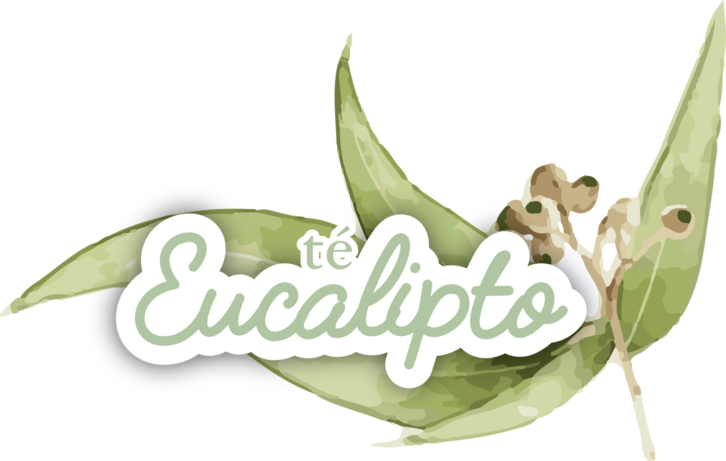 TÉ DE EUCALIPTO