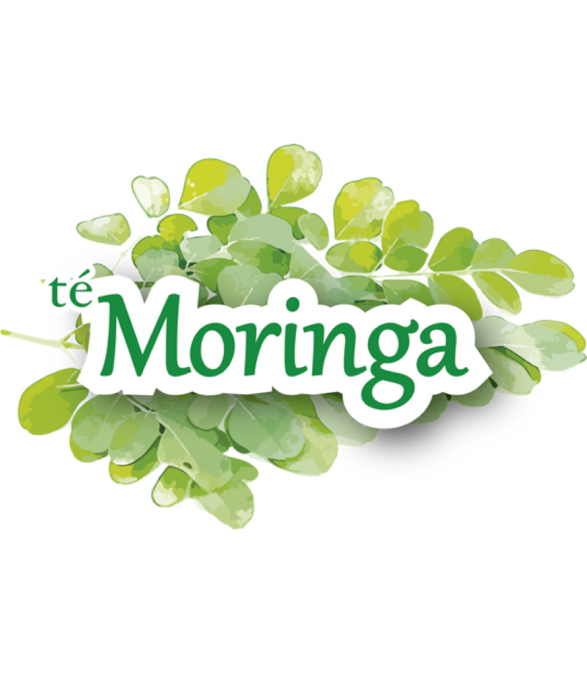 TÉ DE MORINGA