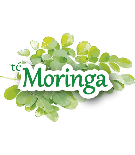 TÉ DE MORINGA