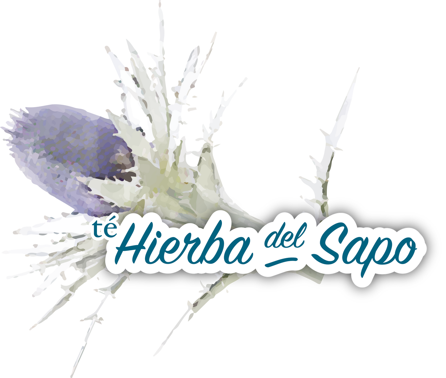 TÉ DE HIERBA DEL SAPO