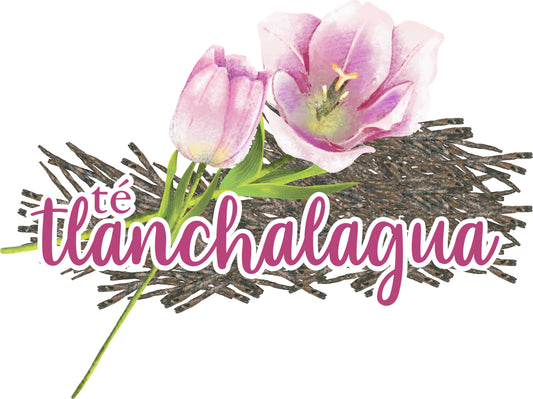 TÉ DE TLANCHALAGUA