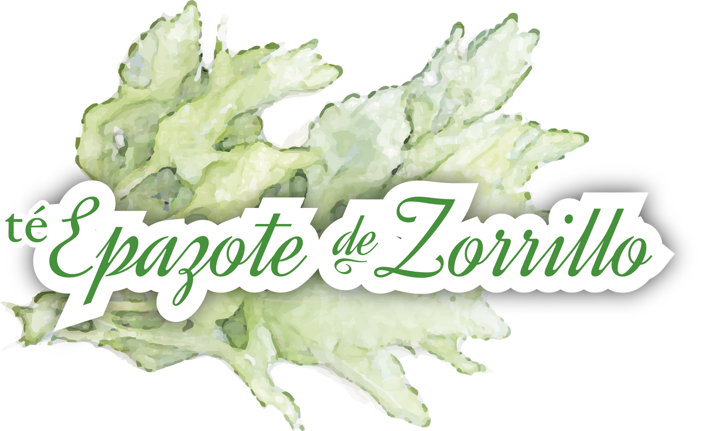 TÉ DE EPAZOTE DE ZORRILLO