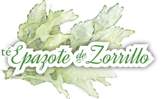TÉ DE EPAZOTE DE ZORRILLO