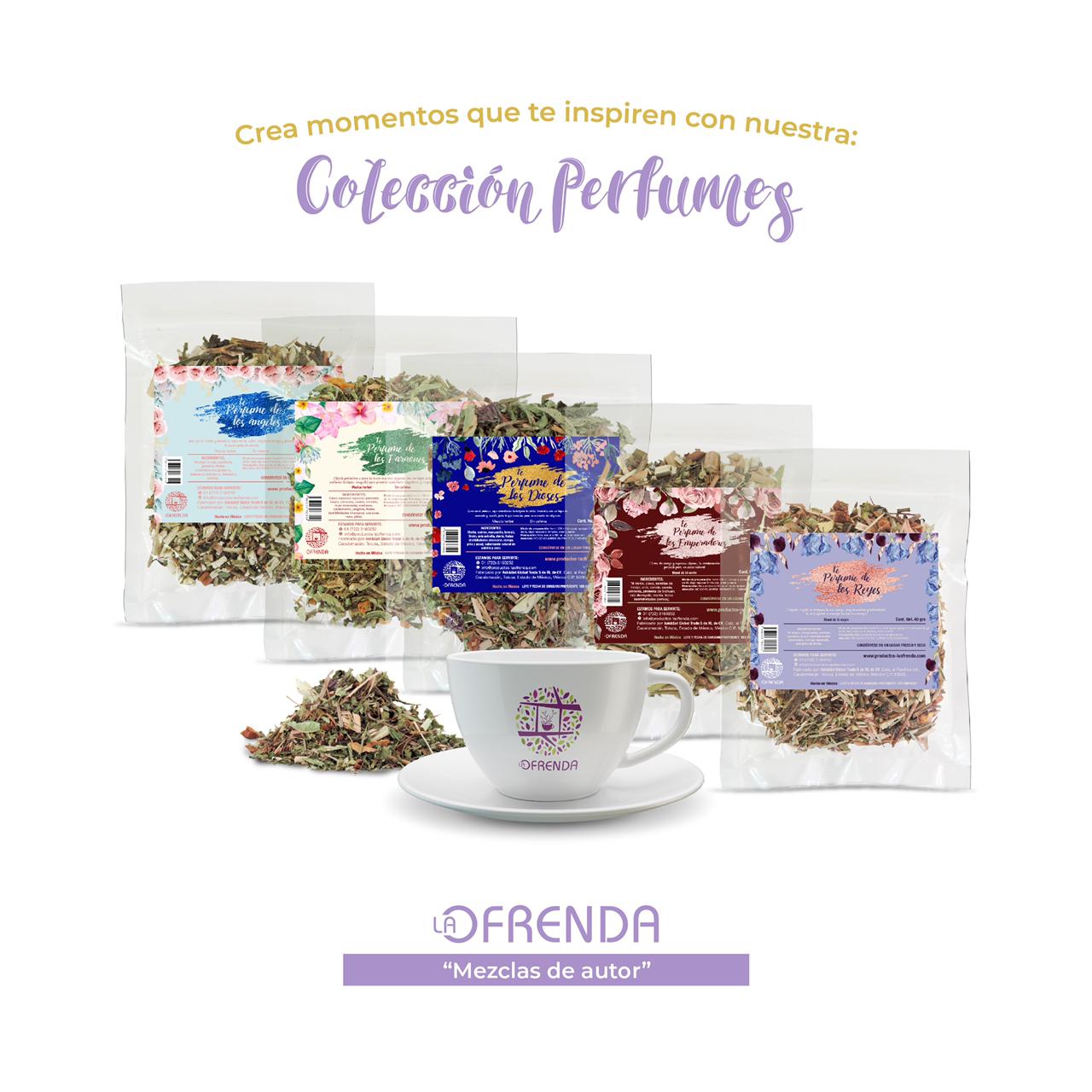 Kit Perfumes